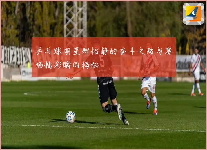 乒乓球明星郑怡静的奋斗之路与赛场精彩瞬间揭秘