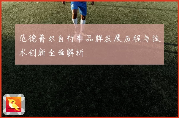 范德普尔自行车品牌发展历程与技术创新全面解析