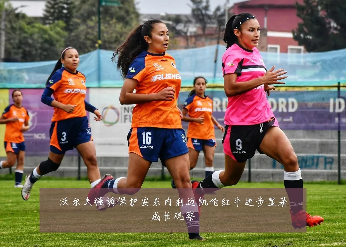 沃尔夫强调保护安东内利迈凯伦红牛进步显著成长观察
