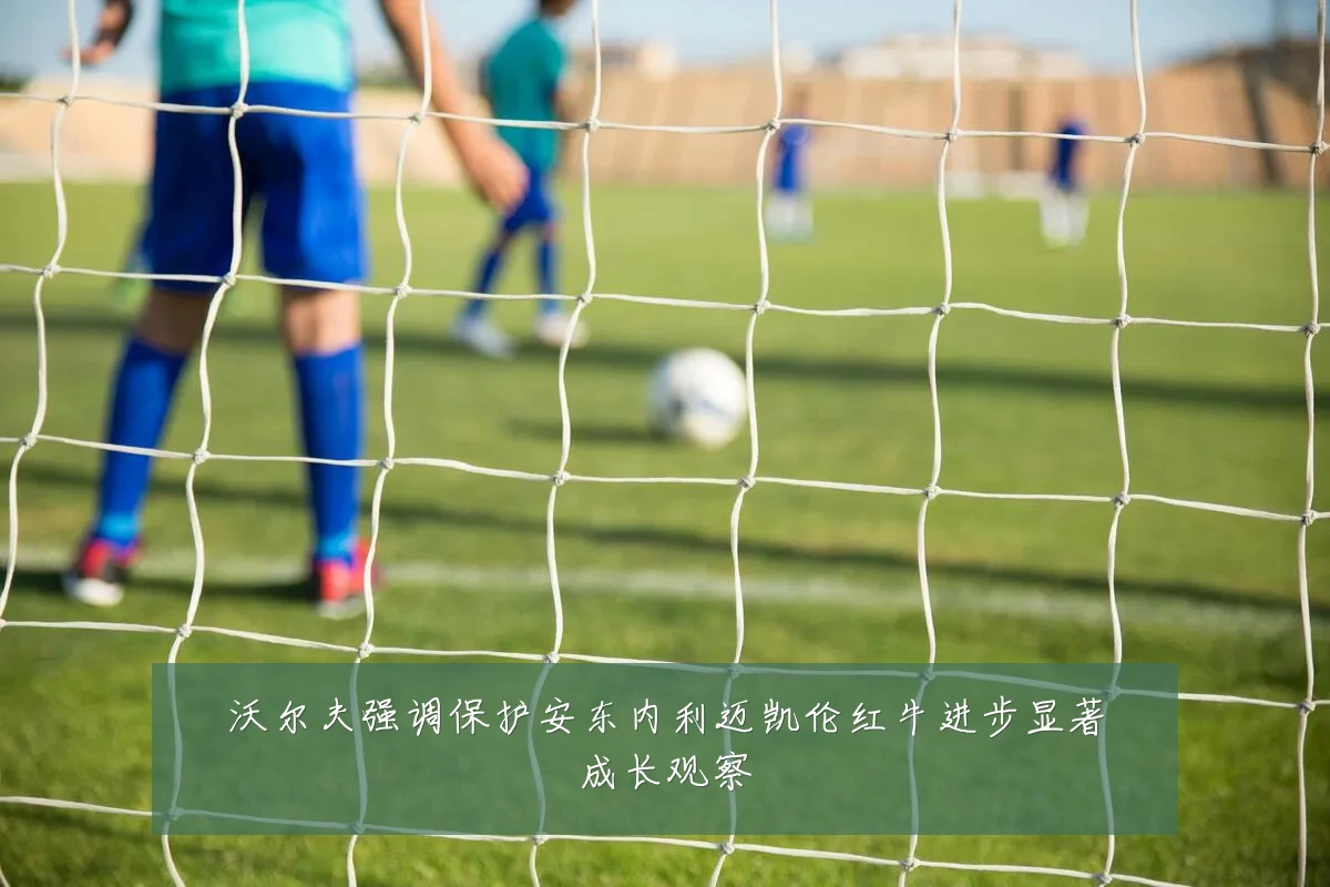 沃尔夫强调保护安东内利迈凯伦红牛进步显著成长观察